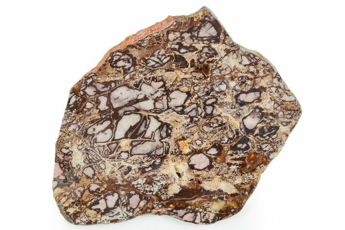 Polished Outback Jasper Slab - Western Australia #353701